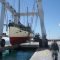 Port de Sitges rescue076
